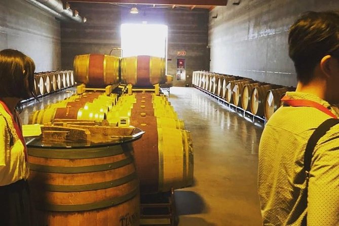 Sa Clasta Mallorca Wine Tours - Should you book Sa Clasta Mallorca Wine Tours?