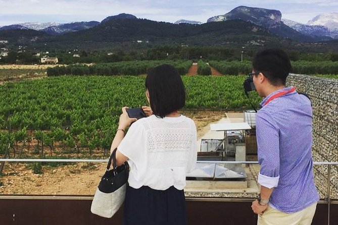 Sa Clasta Mallorca Wine Tours - Pa amb oli lunch and tastings you can actually plan around