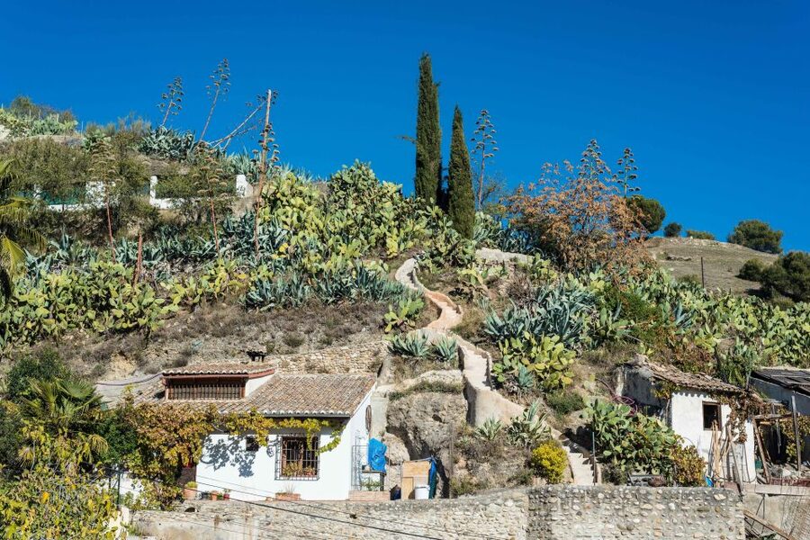 Sacromonte Caves Museum Admission Ticket - Kitchens, Stables, and Daily Work You Can Picture