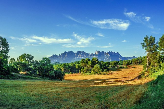Sagrada Familia & Montserrat Small Group Tour with Hotel pick-up - Sagrada Familia: the emotion, the light, and the one extra fee