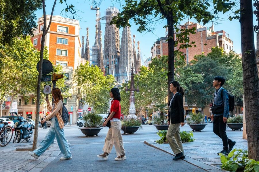 Sagrada Familia Tour with Express Entry and Local Guide - Towers, Museums, and What Is Not Included in This Ticket