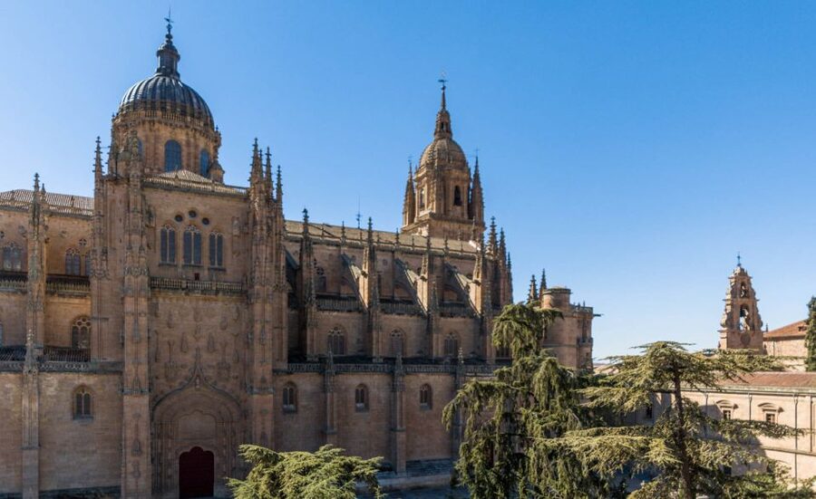 Salamanca: Cathedral of Salamanca Ticket with Audio Guide - Entering the New Cathedral: Vaults, Carvings, and Stained Glass