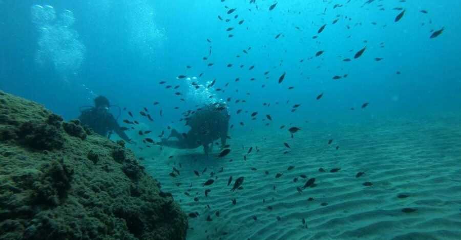Salou: Scuba Diving for Beginners - Beach-based coaching: you learn close to shore first