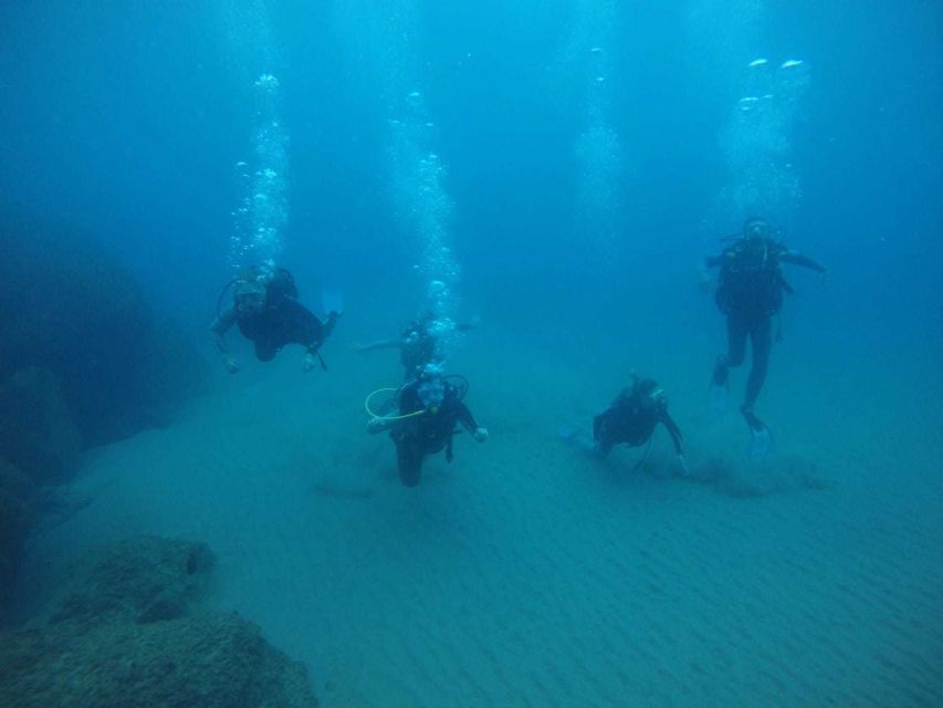 Salou: Scuba Diving for Beginners - Equipment, wetsuit, and the safety details that help you relax