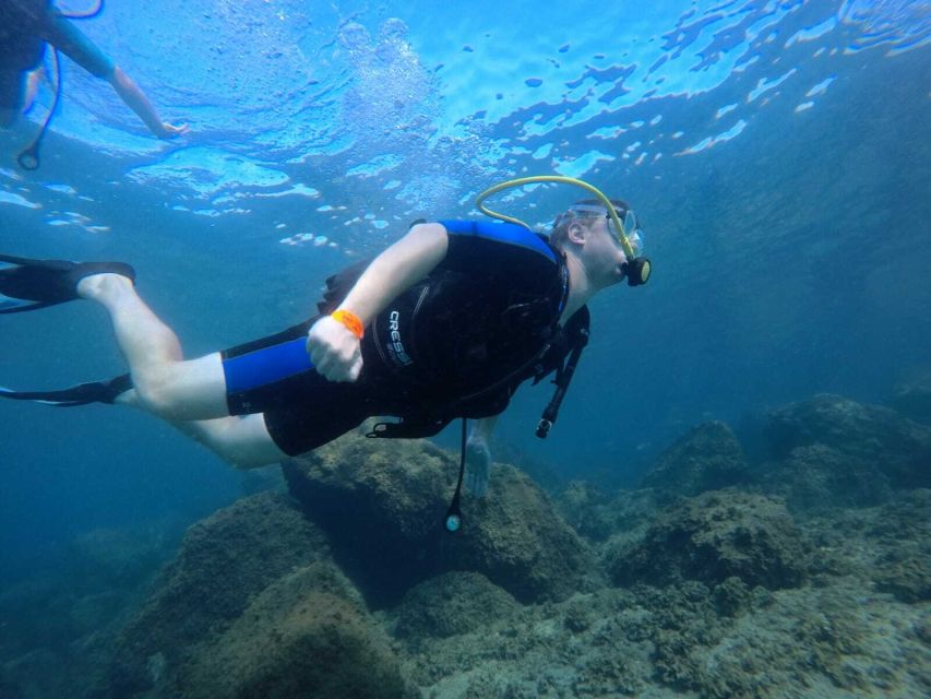 Salou: Scuba Diving for Beginners - What you actually learn first: breathing underwater, at your pace