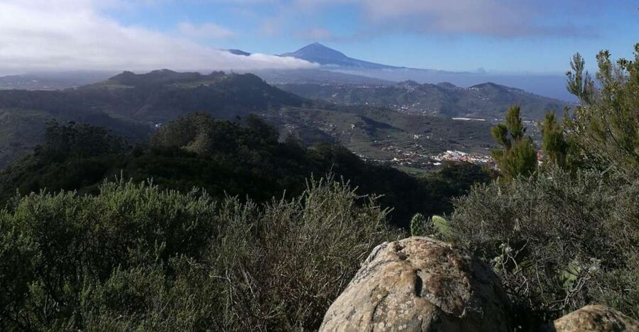 Santa Cruz de Tenerife: 2-Hour Hiking Tour in Anaga Forest - Key takeaways before you lace up
