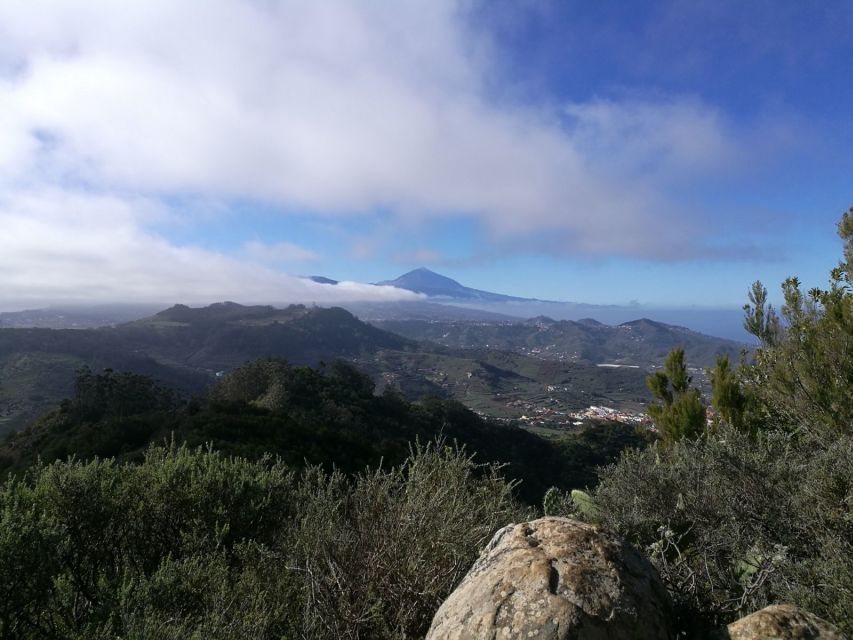 Santa Cruz de Tenerife: 2-Hour Hiking Tour in Anaga Forest - The 2.5-hour flow: how the walk typically feels on your legs