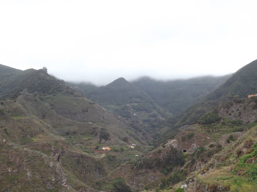 Santa Cruz de Tenerife: 2-Hour Hiking Tour in Anaga Forest - Your first step: meeting at Cafetería Carmita (and why it helps)