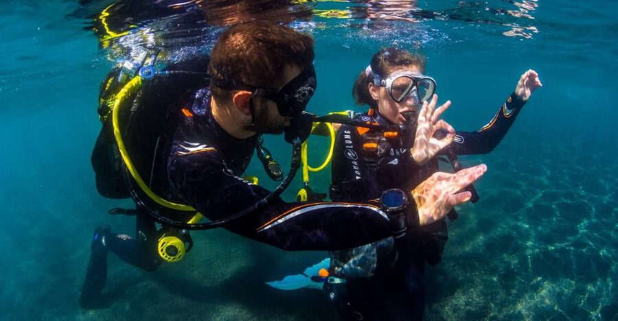 Santa Cruz de Tenerife: Beginner's Diving & Introduction - Key Highlights You Should Care About