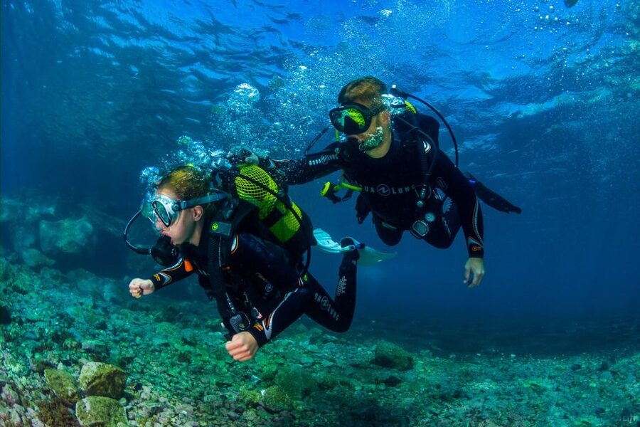 Santa Cruz de Tenerife: Beginner's Diving & Introduction - Why Santa Cruz de Tenerife Works So Well for First-Timers