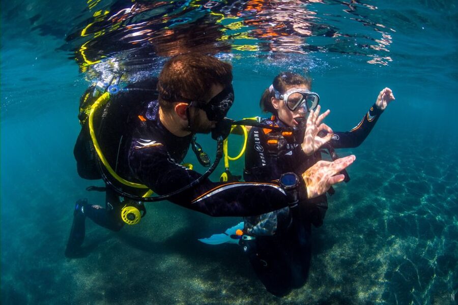 Santa Cruz de Tenerife: Beginner's Diving & Introduction - The Instructor and Equipment Lesson That Makes You Feel Safe