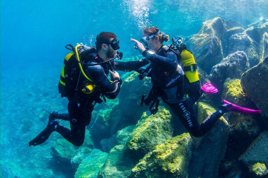 Santa Cruz de Tenerife: Beginner's Diving & Introduction - Who Should Book, and Who Should Skip This Session