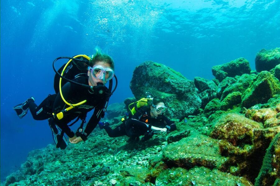 Santa Cruz de Tenerife: Beginner's Diving & Introduction - The 3 Hours, Step by Step: From Check-In to Your First Underwater Breath