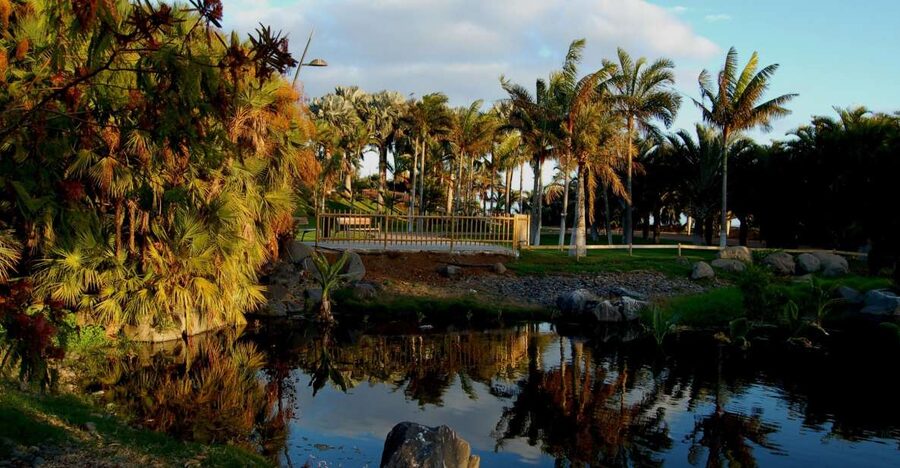 Santa Cruz de Tenerife Palmetum Entry Ticket - Key things to know before you go