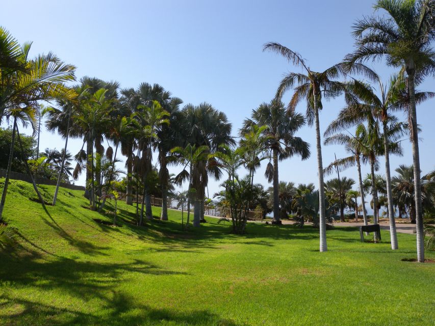 Santa Cruz de Tenerife Palmetum Entry Ticket - A former rubbish dump, now a palm garden you can actually enjoy