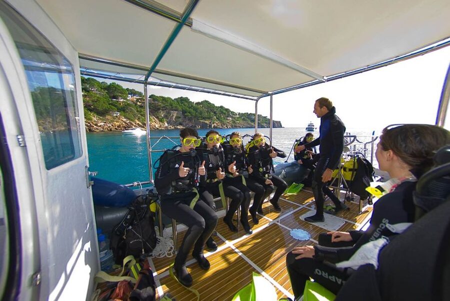 Santa Ponsa: Try Scuba Diving in a Marine Reserve - Gear, Depth, and Comfort: What You’ll Actually Wear and Use
