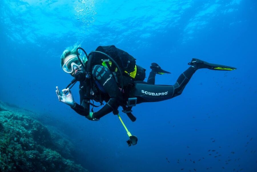 Santa Ponsa: Try Scuba Diving in a Marine Reserve - Safety and Suitability: Who This Is Best For