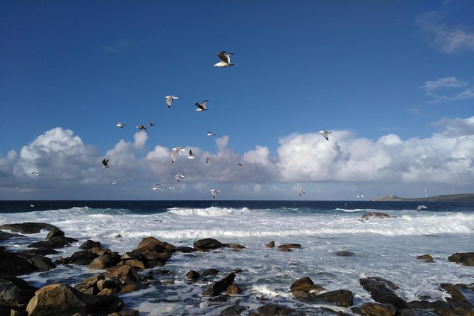Santiago de Compostela: Finisterre, Muxía & Costa da Morte - Stop 4, Faro de Fisterra: the End of the World viewpoint