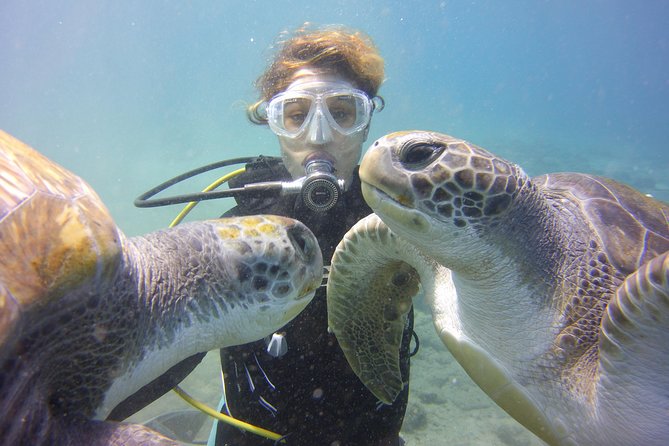 Scuba Diving Beginner's Session in Costa Adeje - Key Points That Matter in Costa Adeje