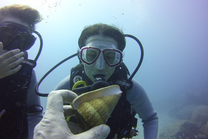 Scuba Diving Beginner's Session in Costa Adeje - The Underwater Excursion: 45 Minutes Up to 12 Meters