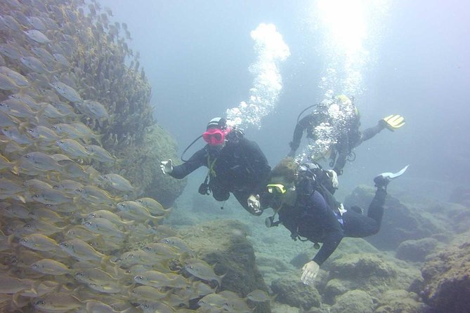 Scuba Diving Beginner's Session in Costa Adeje - Price and Value: What $114.93 Covers, and What Might Cost Extra