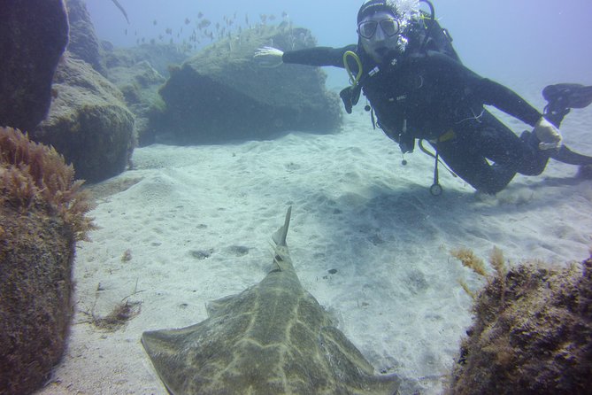 Scuba Diving Beginner's Session in Costa Adeje - Practical Tips So Your Day Goes Smoother