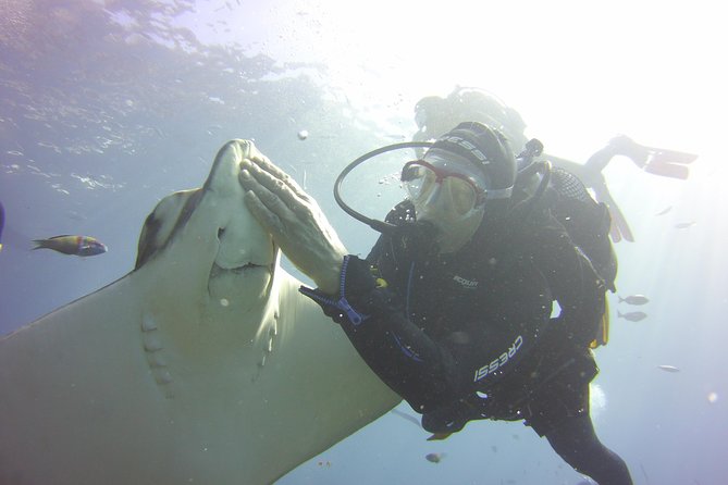 Scuba Diving Beginner's Session in Costa Adeje - Your First Skills: What Happens Before You Go Deeper