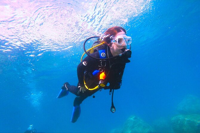 Scuba Diving Experience for Beginners in Gran Canaria - Key highlights worth clocking