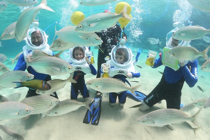 Sea Trek (exclusive in Lanzarote) - Sea Trek in Lanzarote: the helmet-walk you can feel
