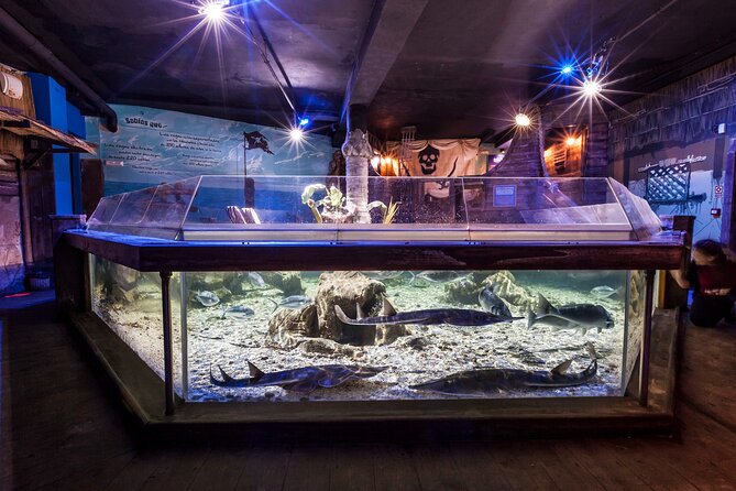 Sealife Benalmadena Entrance Ticket - Entering the Aquarium: Jurassic Vibes and Shark Viewing