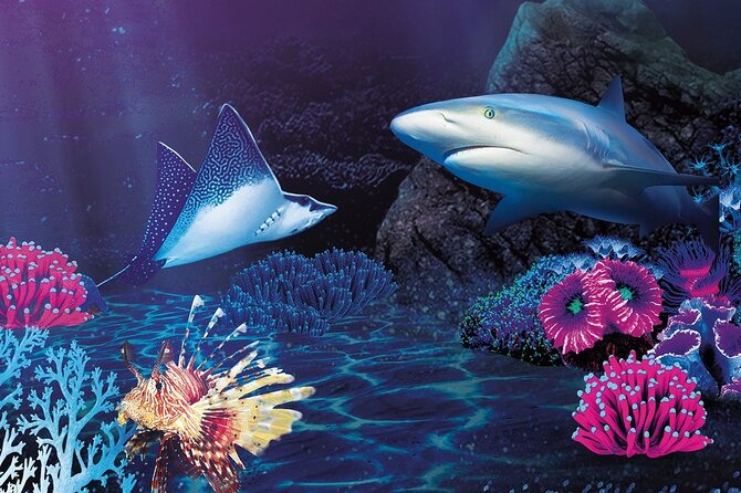 Sealife Benalmadena Entrance Ticket - Who Should Book This Ticket, and Who Might Reconsider