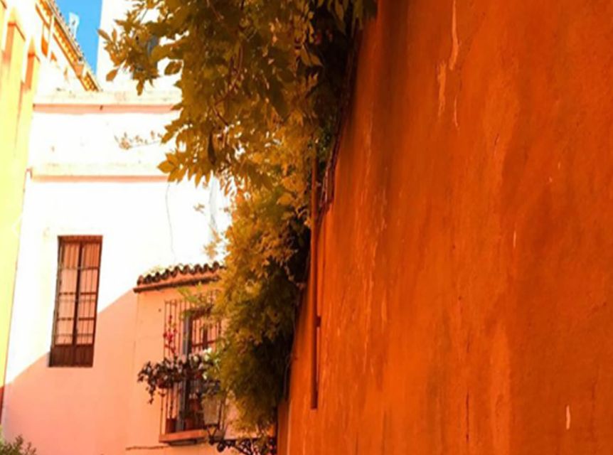 Seville: 1-Hour Walking Tour Barrio de Santa Cruz - Weather Prep in Seville: Shoes, Water, and a Rain Plan