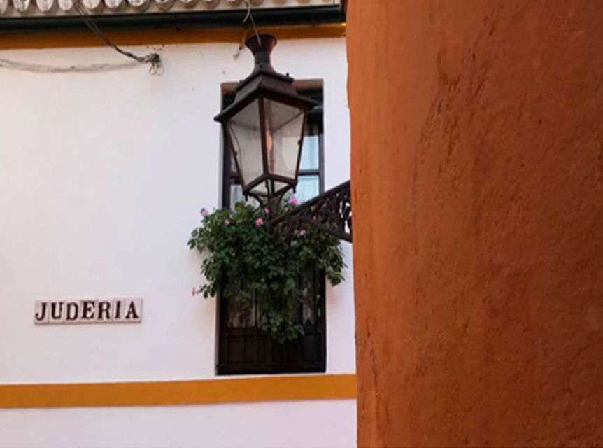 Seville: 1-Hour Walking Tour Barrio de Santa Cruz - Barrio de Santa Cruz, Legends Plus a Modern Wow in One Hour