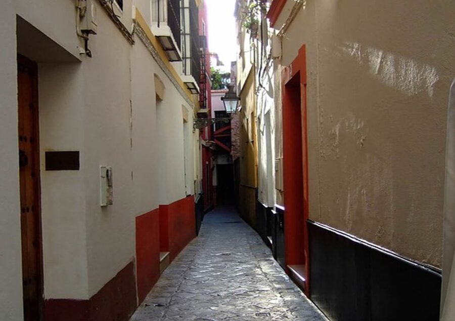 Seville: 1-Hour Walking Tour Barrio de Santa Cruz - Guide Style That Keeps the Hour Moving (In a Good Way)