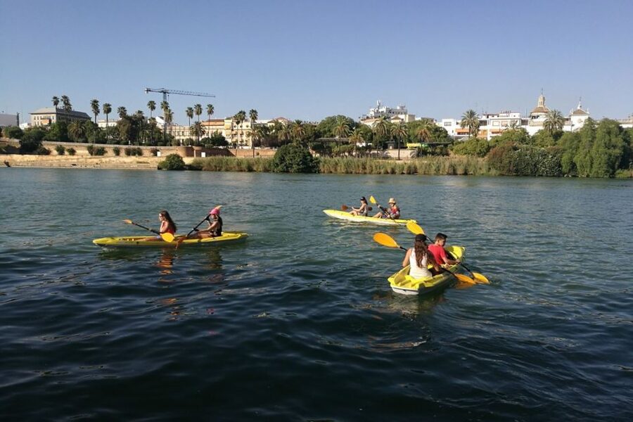 Seville: 2–Hour Guadalquivir River Kayaking Tour - Safety setup and paddling level, what to expect day-of
