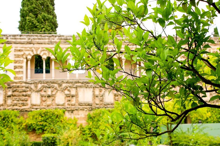 Seville: Alcazar Skip-the-Line Guided Tour with Tickets - Headsets, audio, and crowd reality