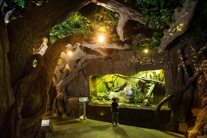 Seville Aquarium Admission Ticket - Jellyfish and the rainforest-adjacent feeling