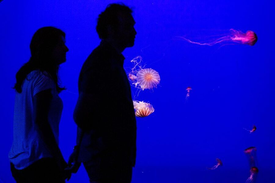 Seville Aquarium Admission Ticket - Clean design and clear signage (English and Spanish included)