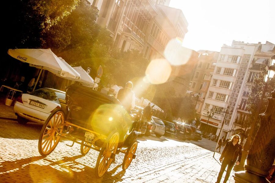 Seville: Authentic and Romantic Horse-Drawn Carriage Ride - Key points before you go