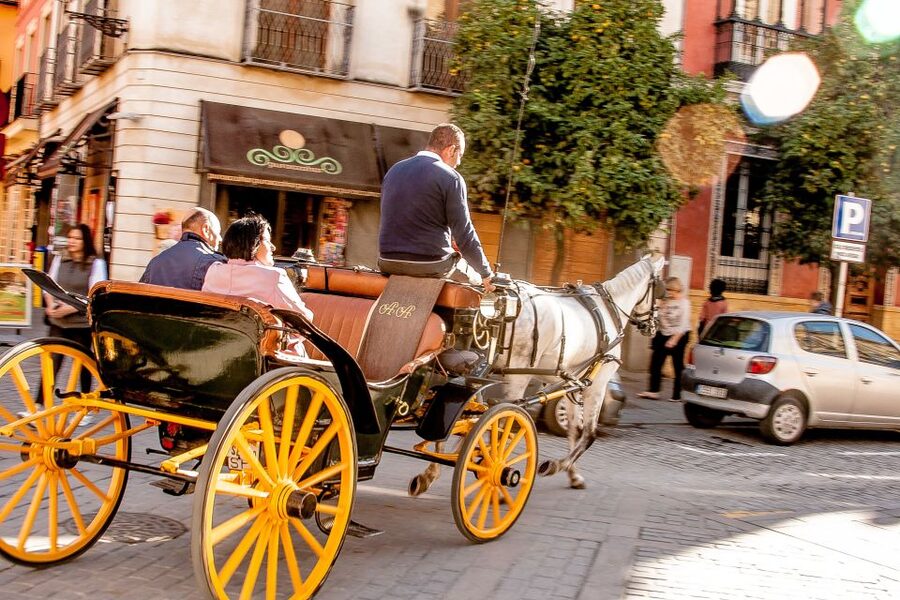 Seville: Authentic and Romantic Horse-Drawn Carriage Ride - The driver’s live commentary, and what language to plan for