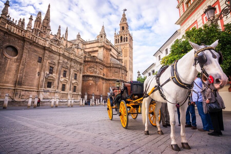 Seville: Authentic and Romantic Horse-Drawn Carriage Ride - Getting the timing right: morning in summer, and comfort in rain