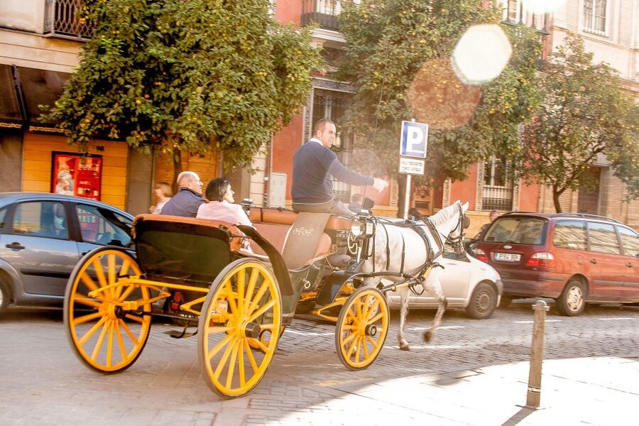Seville: Authentic and Romantic Horse-Drawn Carriage Ride - Comfort and etiquette: how to enjoy it from the start
