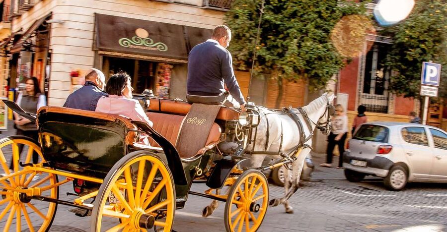 Seville: Authentic and Romantic Horse-Drawn Carriage Ride - The route you can expect: Maria Luisa, Triana, and the Guadalquivir