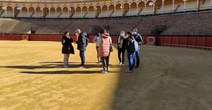 Seville: Bullring Guided Tour with a Skip-the-Line Ticket - The 1-Hour Bullring Story: How the Tour Unfolds