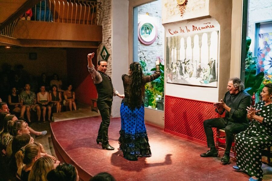 Seville: Casa de la Memoria Flamenco Show - Dancers and costumes: watch how they listen