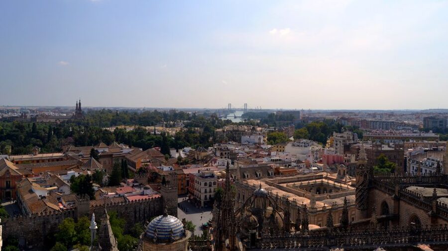 Seville Cathedral and Giralda Tower Guided Tour and Tickets - What the guide actually does, and what you do on your own