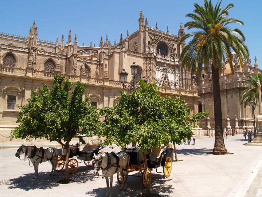 Seville: Cathedral, Giralda, and Alcazar Guided Tour - Rules You Need to Follow (So Your Day Stays Smooth)
