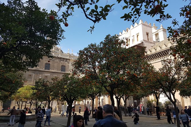 Seville Cathedral Tour including tickets and skip the line entry - Meeting at Naturanda Turismo Ambiental, avoid the check-in swirl