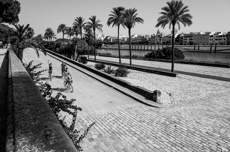 Seville: City Sightseeing and Local Culture Bike Tour - San Telmo Palace Area: Learning the City Without a Museum Detour