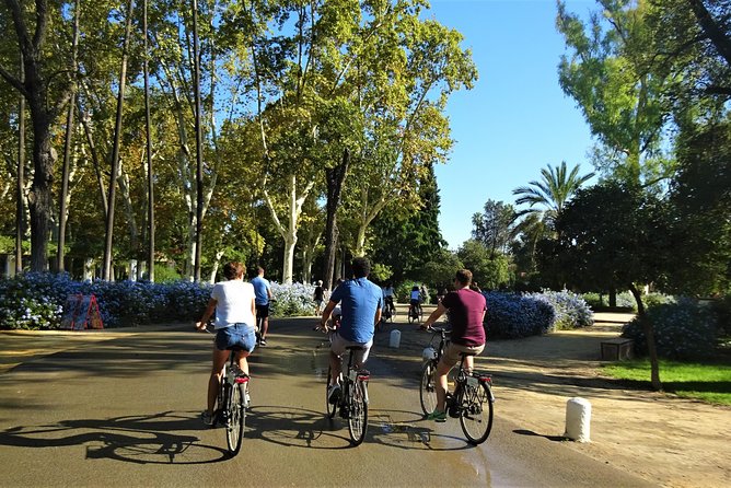 Seville Electric Bike Tour - Small Group - Palace of San Telmo: a quick look at power and purpose